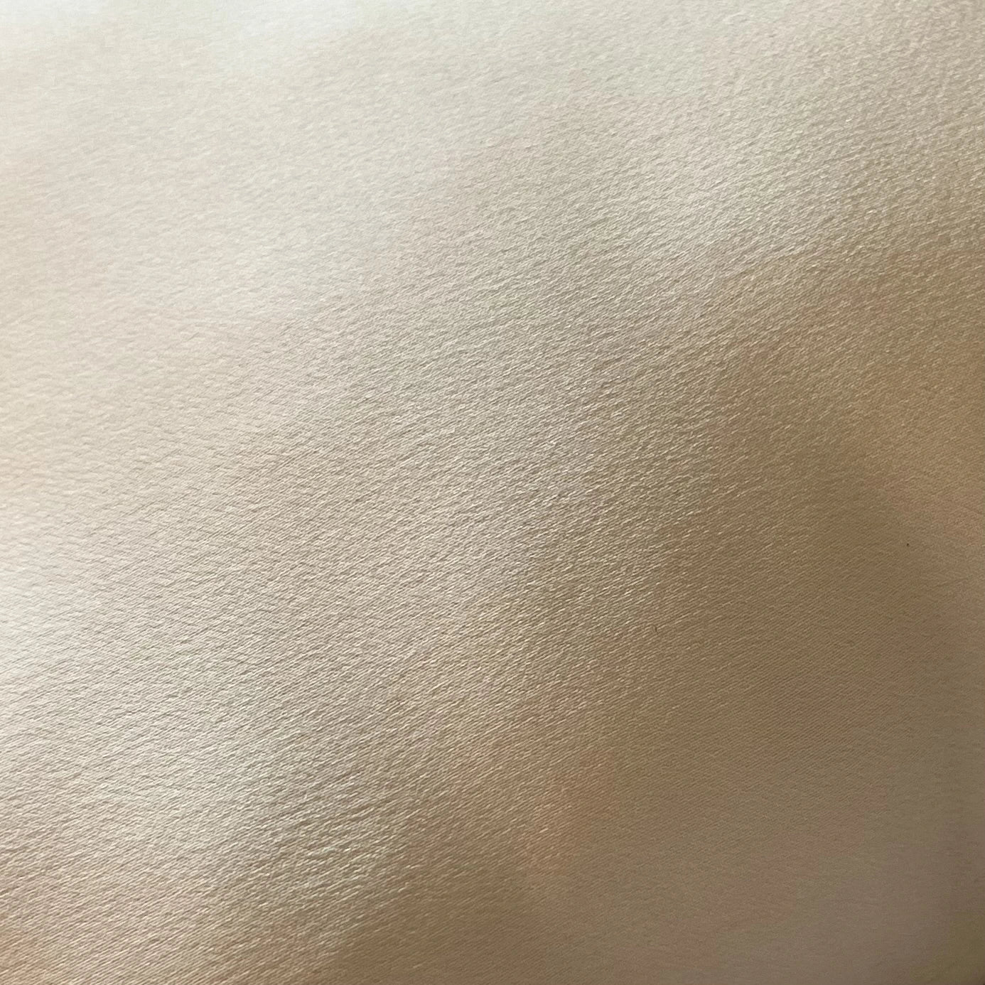 Silk Pillow Ecru